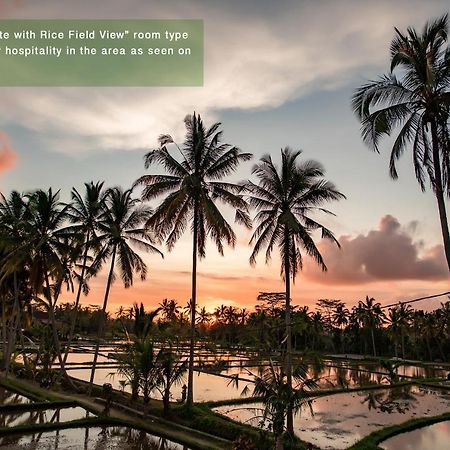 Hotel Ayu Duwur Beji Ubud Esterno foto