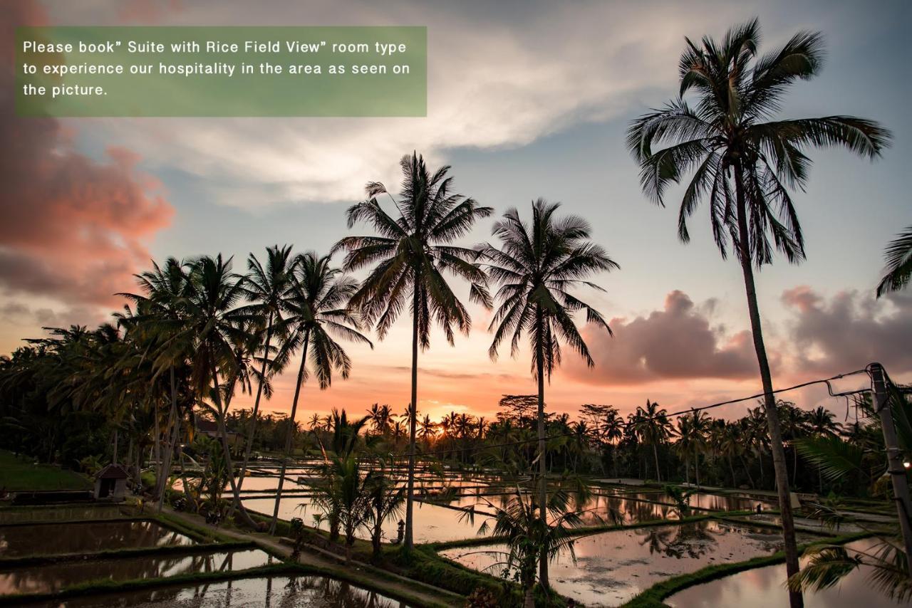 Hotel Ayu Duwur Beji Ubud Esterno foto